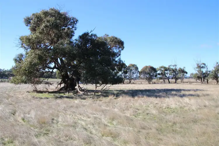 Seventh view of Homely rural property listing, . Ballarat-Carngham Road, Haddon VIC 3351