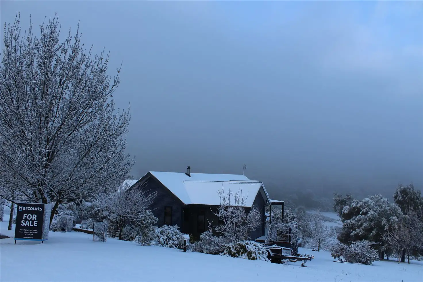 Main view of Homely house listing, 6 Lightwood Court, Merrijig VIC 3723