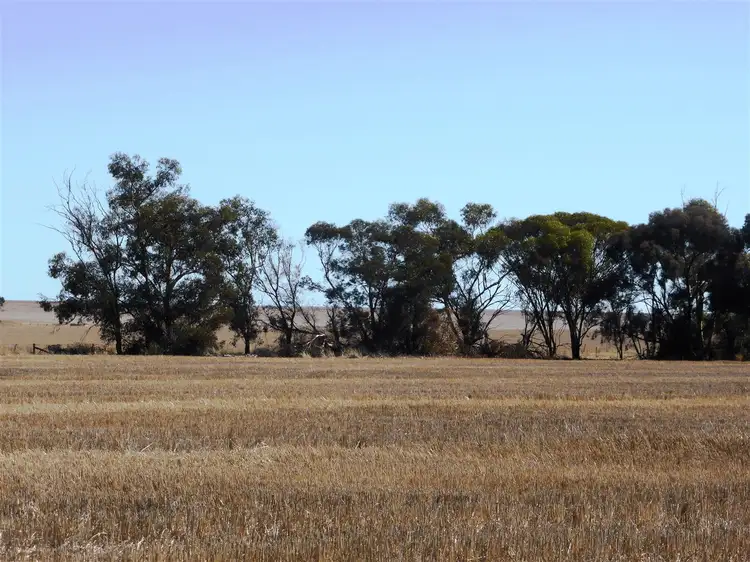 Main view of Homely rural property listing, Allot 1 Hughes Park road, Hoyleton SA 5453