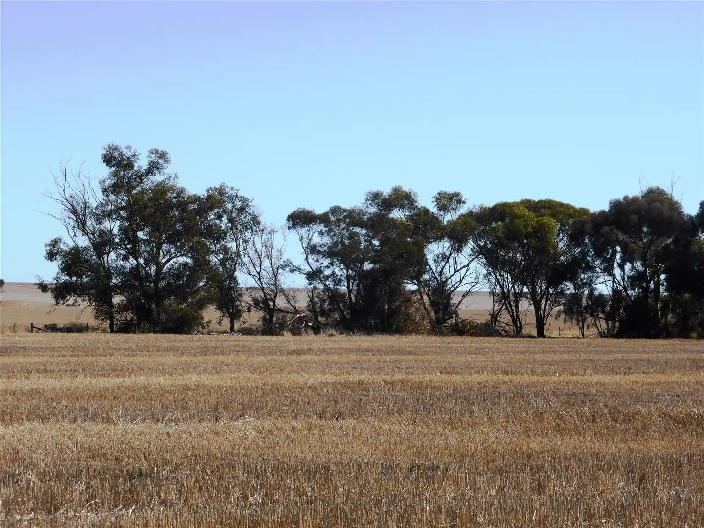Main view of Homely rural property listing, Allot 1 Hughes Park road, Hoyleton SA 5453