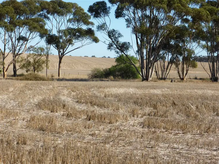 Second view of Homely rural property listing, Allot 1 Hughes Park road, Hoyleton SA 5453