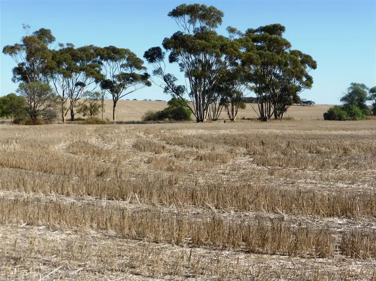 Third view of Homely rural property listing, Allot 1 Hughes Park road, Hoyleton SA 5453