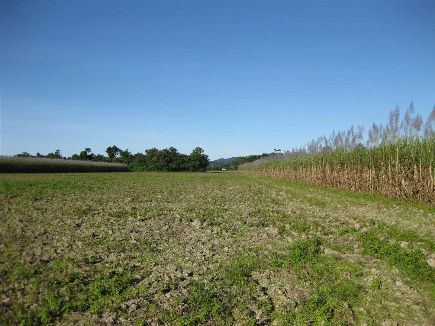 Main view of Homely rural property listing, Address available on request