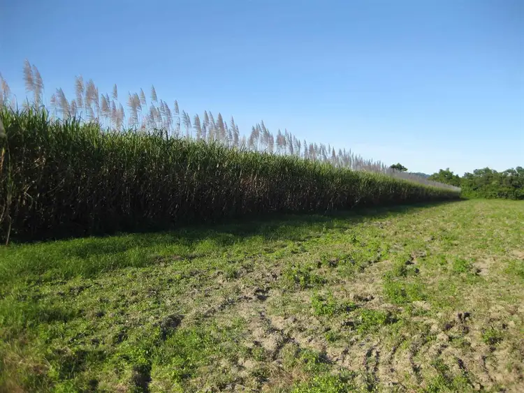 Fourth view of Homely rural property listing, Address available on request