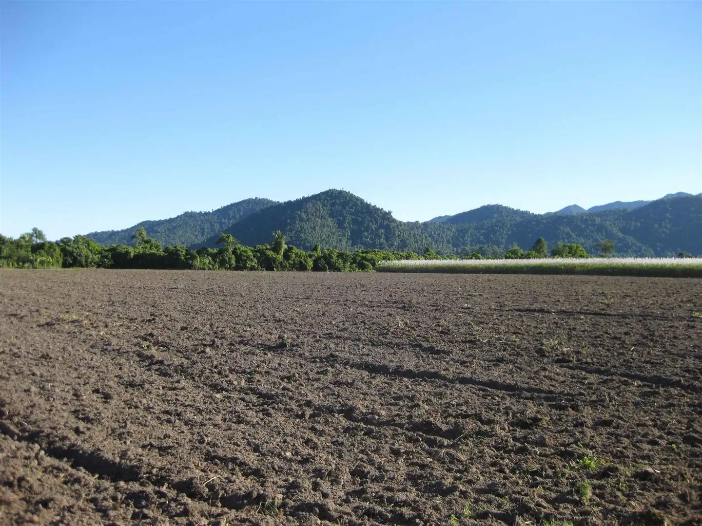 Main view of Homely rural property listing, Address available on request