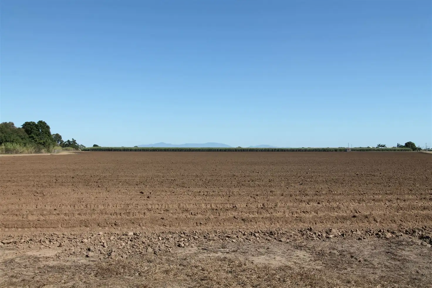 Main view of Homely rural property listing, 840 Rita Island Road, Jarvisfield, Ayr QLD 4807