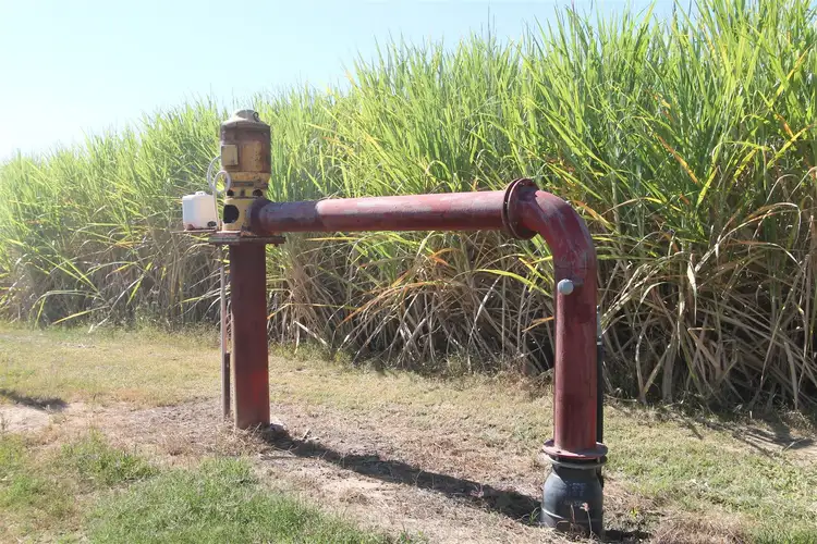 Sixth view of Homely rural property listing, 840 Rita Island Road, Jarvisfield, Ayr QLD 4807