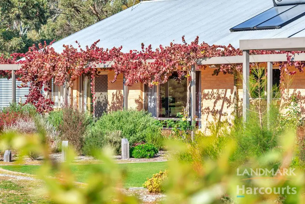 Main view of Homely house listing, 34 Washington Road, Riverton SA 5412