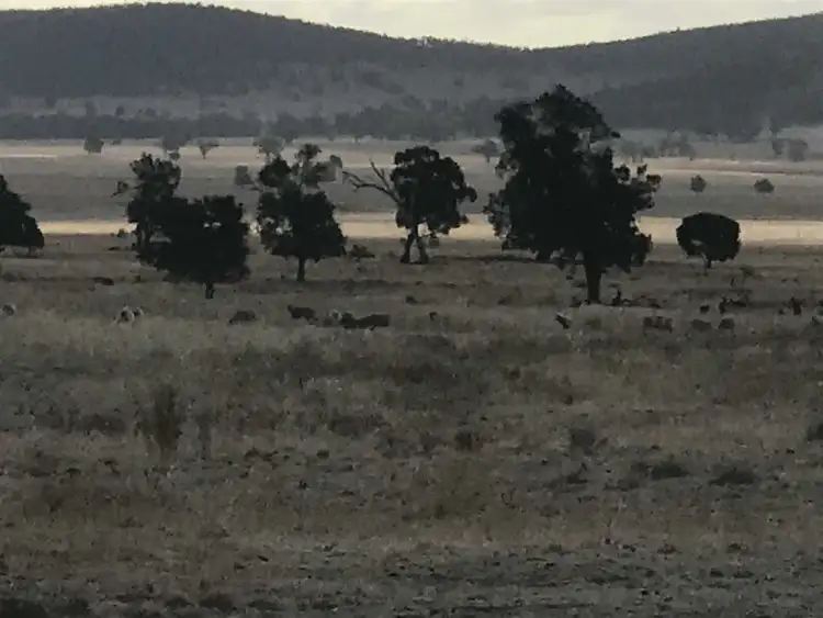 Sixth view of Homely rural property listing, 671 Mount Tallabung Road, Forbes NSW 2871