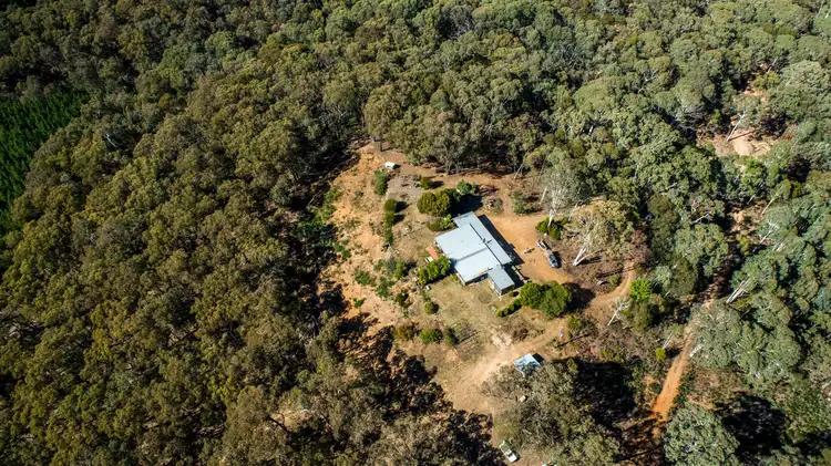 Aurarose Old Taradale Rd, Rosewood NSW 2652