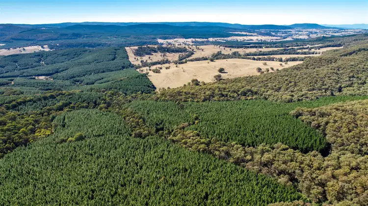 Second view of Homely rural property listing, Aurarose Old Taradale Rd, Rosewood NSW 2652