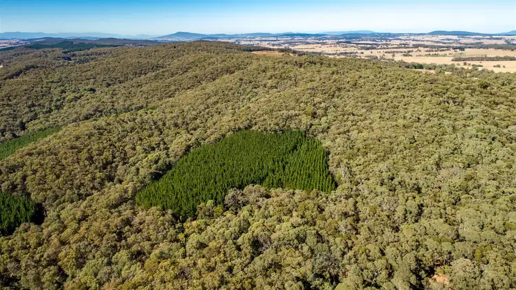 Third view of Homely rural property listing, Aurarose Old Taradale Rd, Rosewood NSW 2652