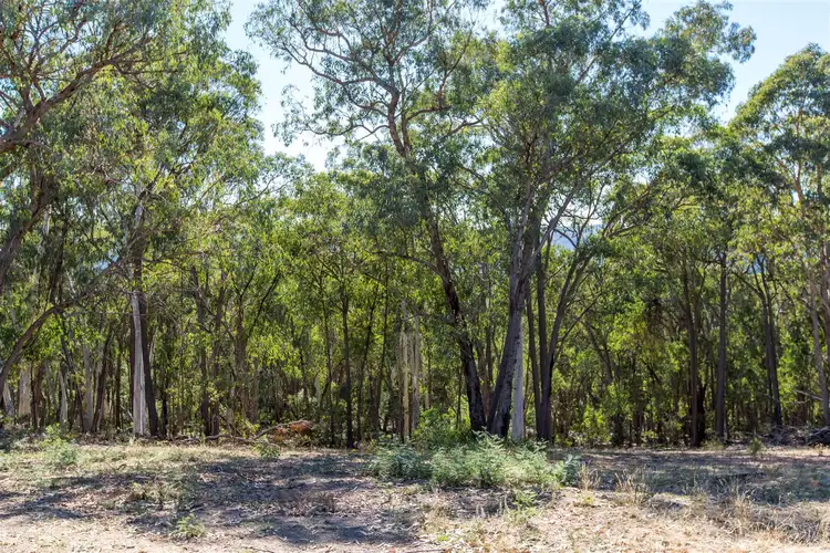 Fifth view of Homely rural property listing, Aurarose Old Taradale Rd, Rosewood NSW 2652