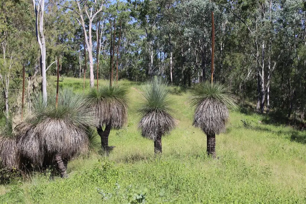 Main view of Homely rural property listing, Address available on request