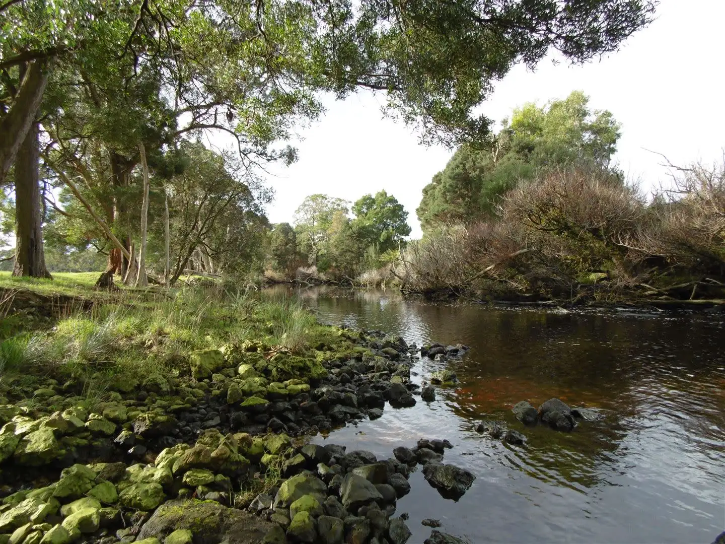 Main view of Homely rural property listing, 1004 Backline Road, Forest TAS 7330
