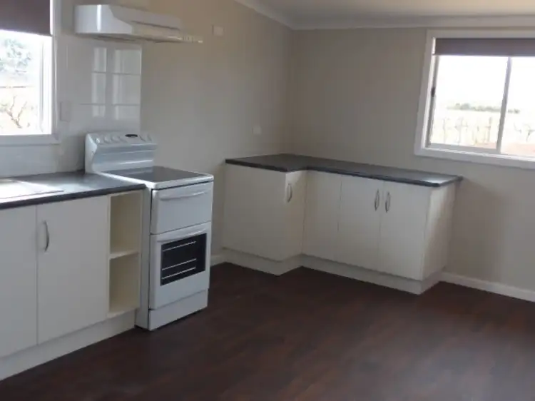 Third view of Homely rural property listing, 885 Old Sturt Highway, Glossop SA 5344