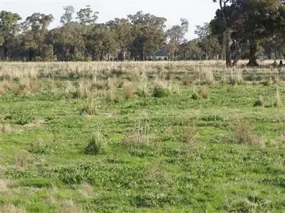 Seventh view of Homely rural property listing, CRN Northern Highway & Toolleen Axedale Road, Toolleen VIC 3551