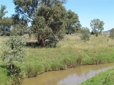 Main view of Homely rural property listing, 1460 "Pinnacle North" Pinnacle Road, Grenfell NSW 2810
