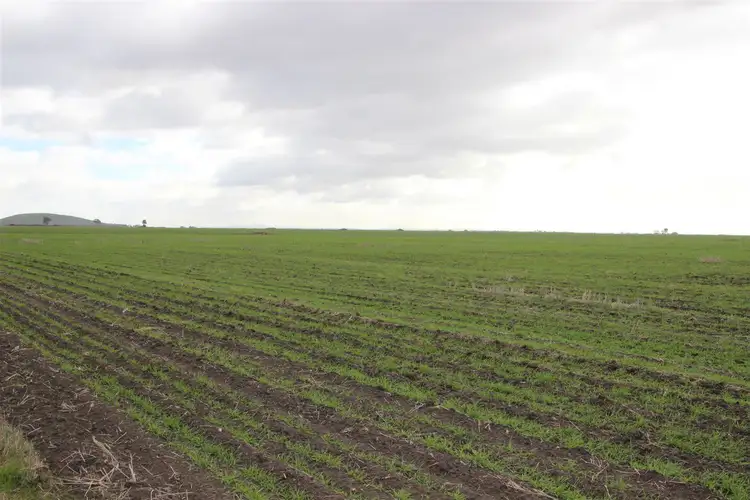 Main view of Homely rural property listing, 2998 Pyrenees Highway, Moolort VIC 3465