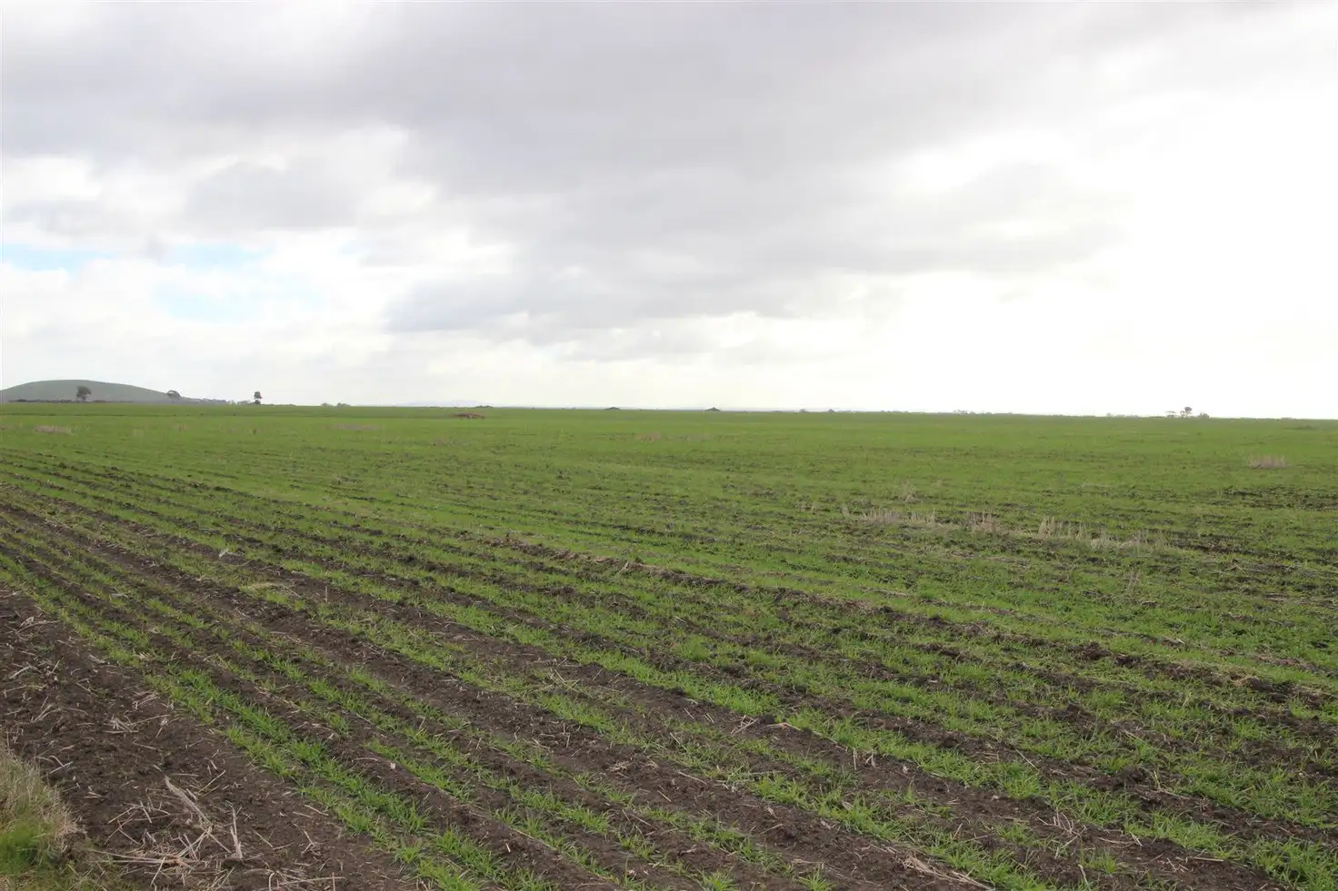 Main view of Homely rural property listing, 2998 Pyrenees Highway, Moolort VIC 3465