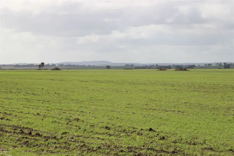Second view of Homely rural property listing, 2998 Pyrenees Highway, Moolort VIC 3465