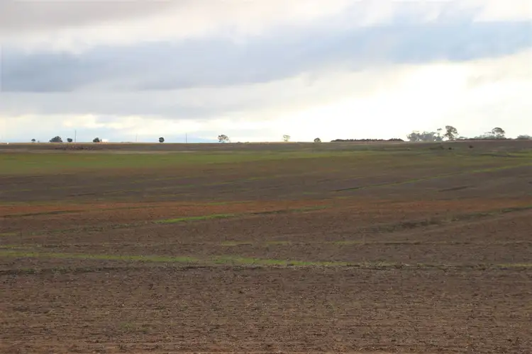 Third view of Homely rural property listing, 2998 Pyrenees Highway, Moolort VIC 3465