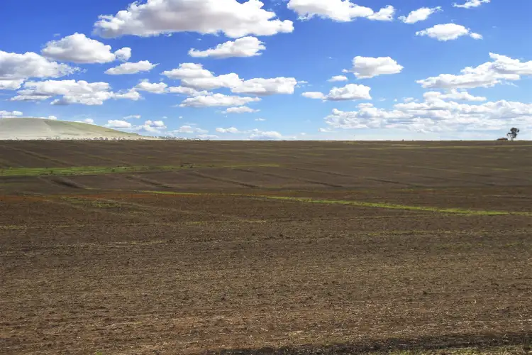 Fifth view of Homely rural property listing, 2998 Pyrenees Highway, Moolort VIC 3465