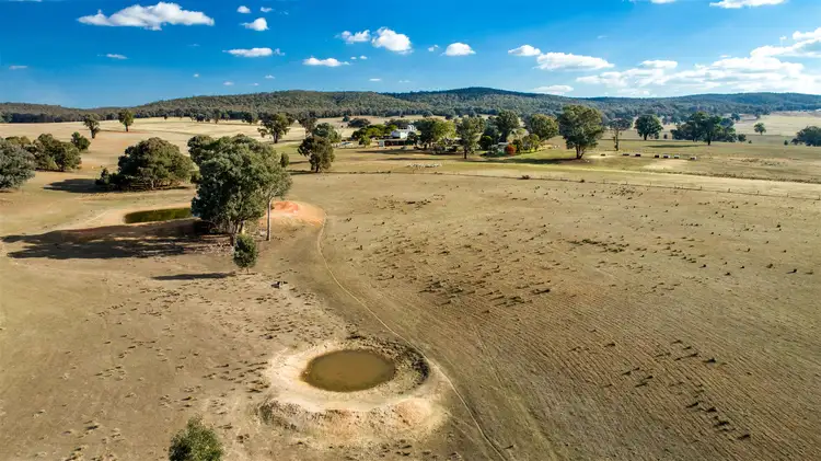 Fourth view of Homely rural property listing, Benloch O'Briens Creek Rd, Big Springs via, Wagga Wagga NSW 2650