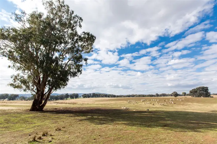 Fifth view of Homely rural property listing, Benloch O'Briens Creek Rd, Big Springs via, Wagga Wagga NSW 2650