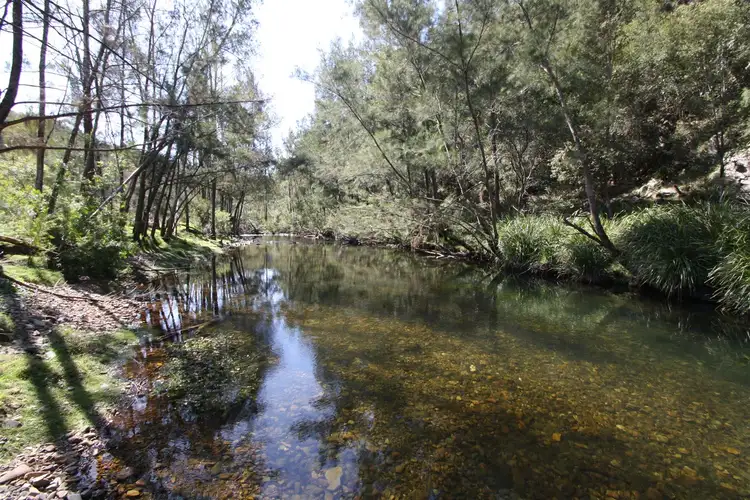 Main view of Homely rural property listing, Lot 15 Water Gulley Rd off Neringla Road Araluen via, Braidwood NSW 2622