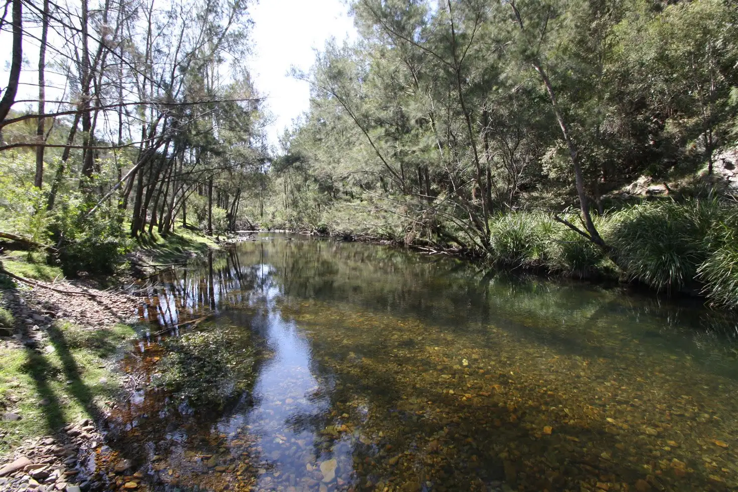 Main view of Homely rural property listing, Lot 15 Water Gulley Rd off Neringla Road Araluen via, Braidwood NSW 2622