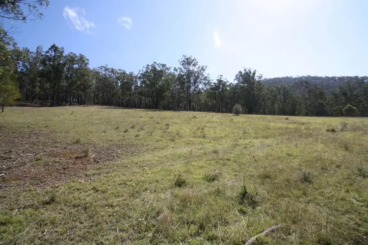 Third view of Homely rural property listing, Lot 15 Water Gulley Rd off Neringla Road Araluen via, Braidwood NSW 2622