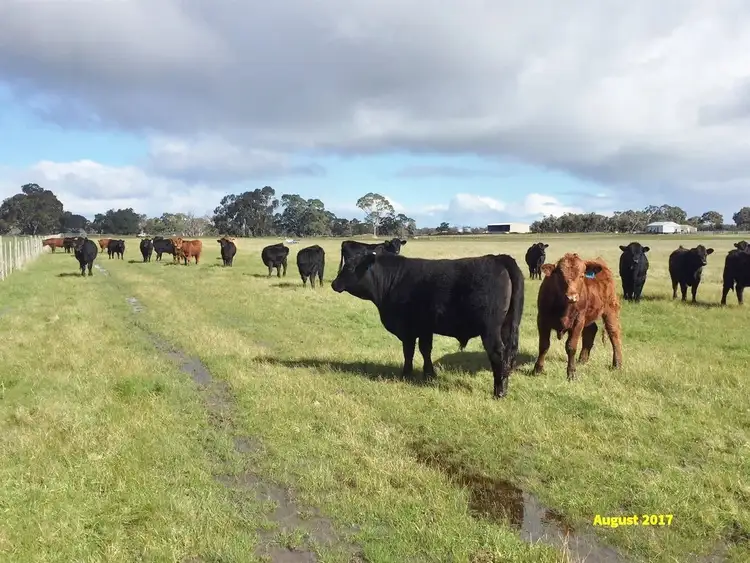 Main view of Homely rural property listing, . Ross McDonalds Road, Edenhope VIC 3318