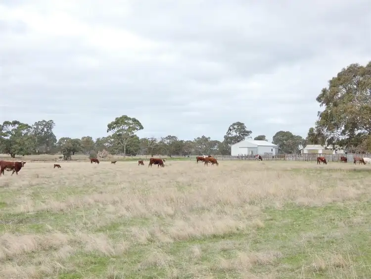 Fifth view of Homely rural property listing, . Ross McDonalds Road, Edenhope VIC 3318