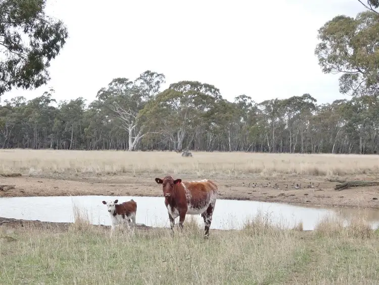 Sixth view of Homely rural property listing, . Ross McDonalds Road, Edenhope VIC 3318