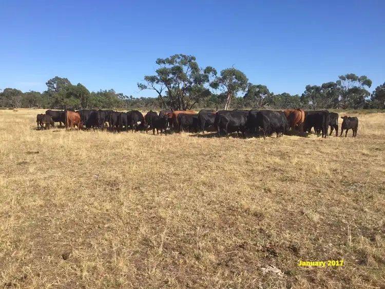 Second view of Homely rural property listing, 0 Anthony Waits Road, Edenhope VIC 3318