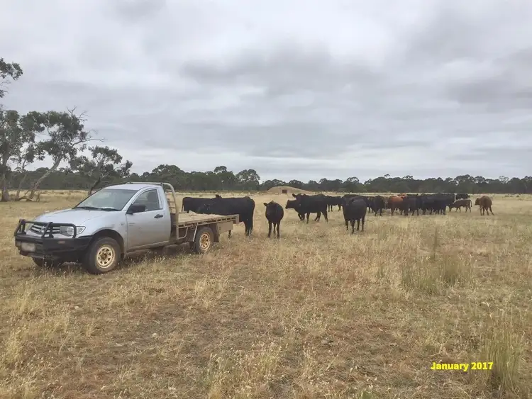 Third view of Homely rural property listing, 0 Anthony Waits Road, Edenhope VIC 3318