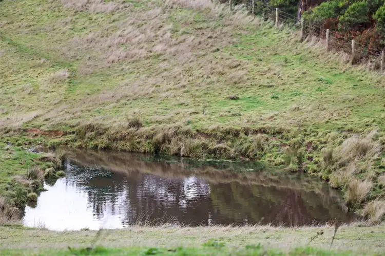 Sixth view of Homely rural property listing, 30 McNaughtons Road, Arawata VIC 3951