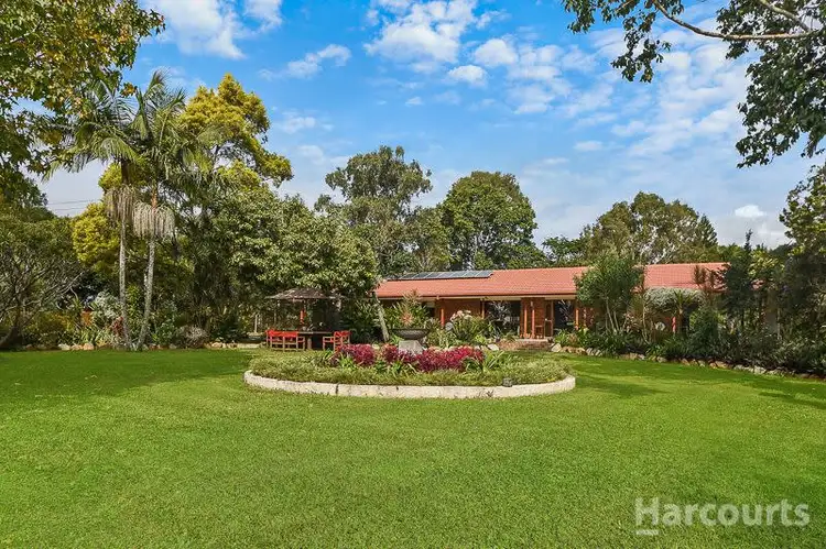 53 Firetail Court, Morayfield QLD 4506