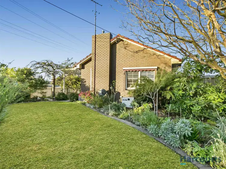 16 Ashby Street, Trafalgar VIC 3824