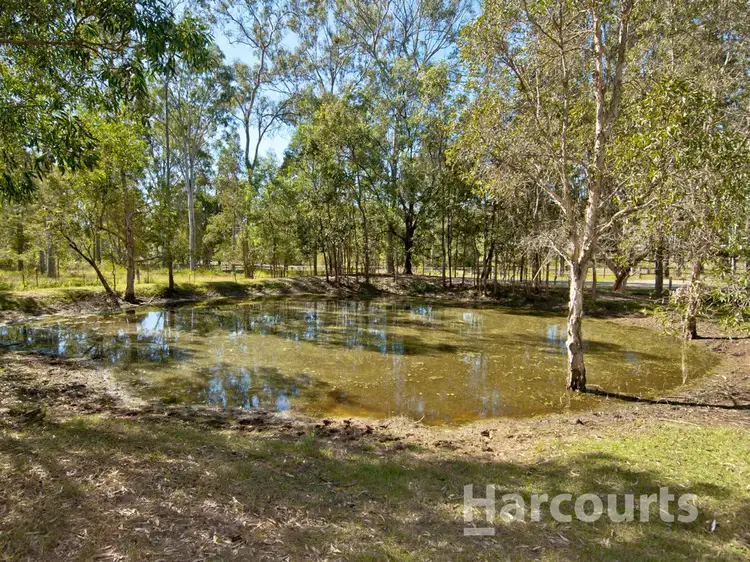 Seventh view of Homely house listing, 37 Amber Crescent, Jimboomba QLD 4280