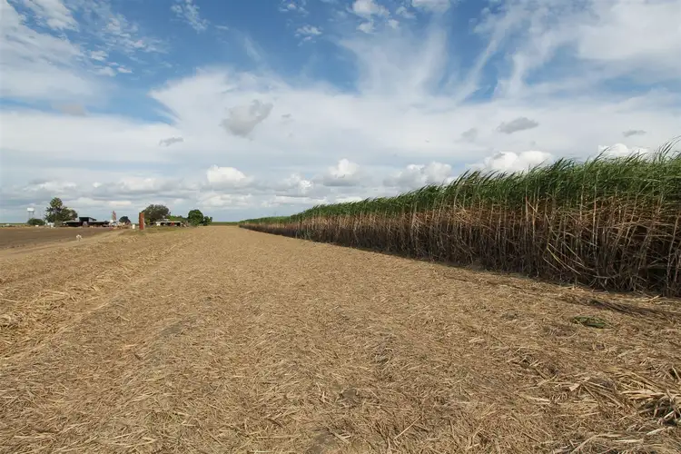 Fourth view of Homely rural property listing, 124 Fredericksfield Road, Fredericksfield, Home Hill QLD 4806