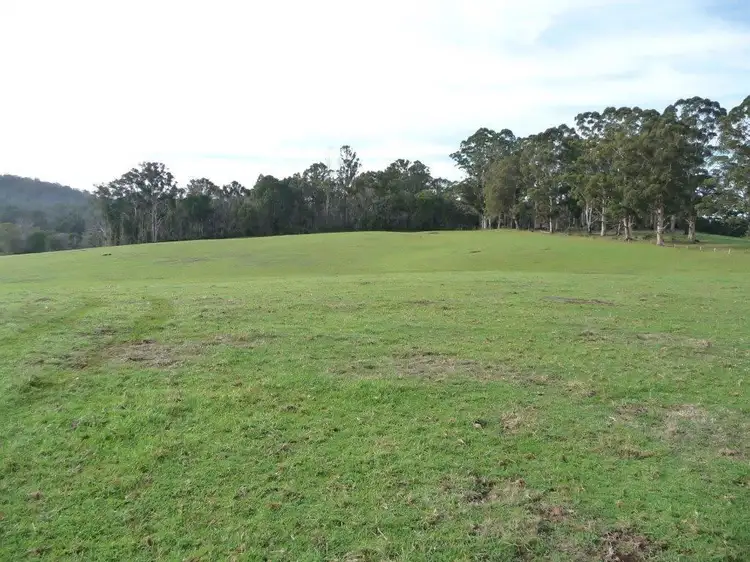 Fourth view of Homely rural property listing, 267 Andrews Road, Northcliffe WA 6262