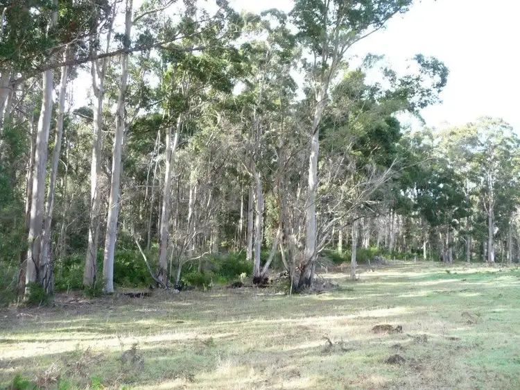Sixth view of Homely rural property listing, 267 Andrews Road, Northcliffe WA 6262