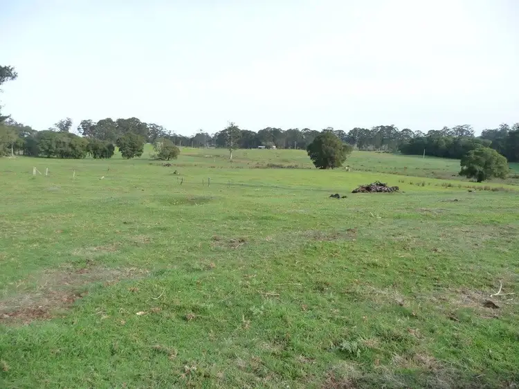 Seventh view of Homely rural property listing, 267 Andrews Road, Northcliffe WA 6262