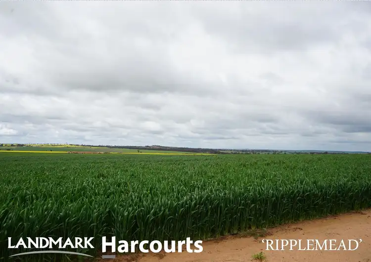 Second view of Homely rural property listing, Address available on request