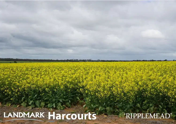 Third view of Homely rural property listing, Address available on request