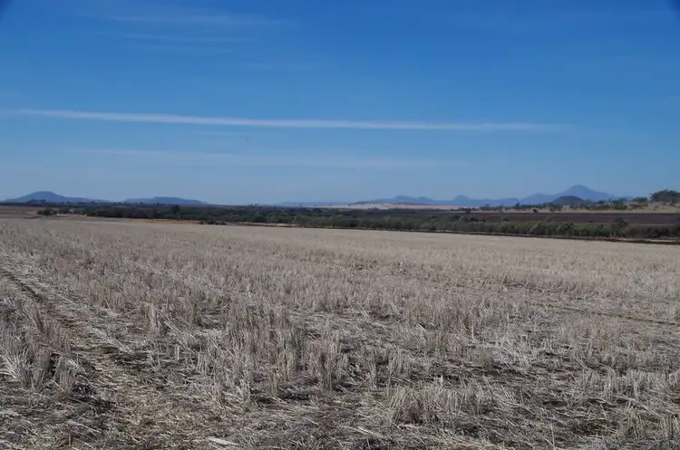 Second view of Homely rural property listing, 654 Berrigal Road, Bellata NSW 2397