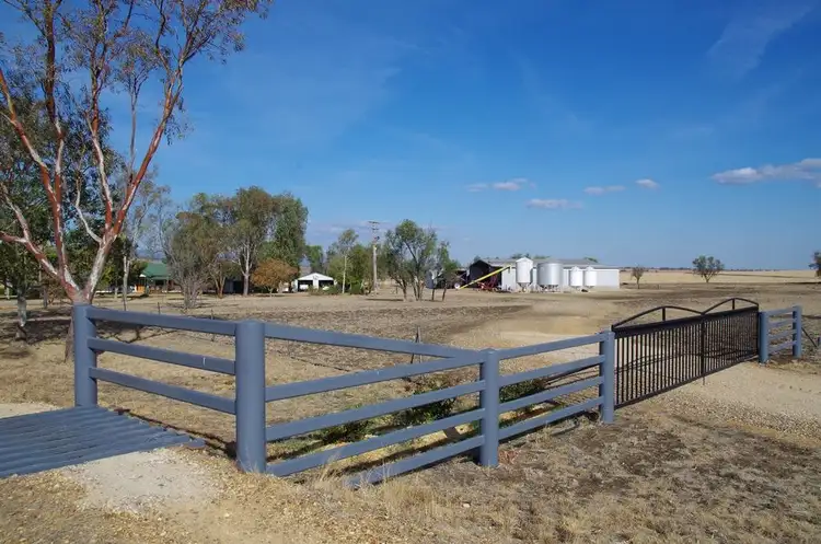 Third view of Homely rural property listing, 654 Berrigal Road, Bellata NSW 2397