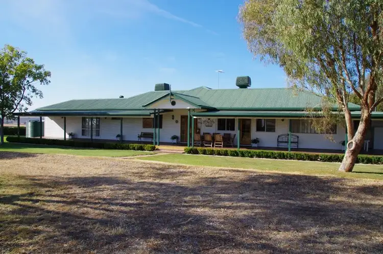 Fifth view of Homely rural property listing, 654 Berrigal Road, Bellata NSW 2397